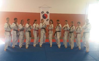 Stage ceintures noires (26 mars 2017)