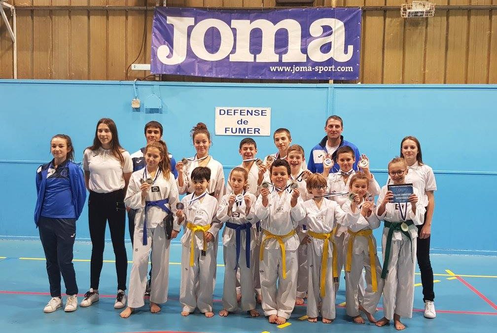 Compétitions Dragons Bleus à Bastia (19 novembre 2017)