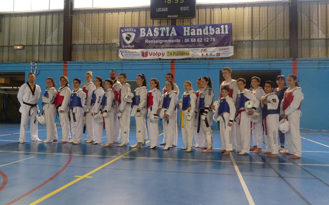 Stage combat avec Ludovic Vo (17 mars 2019)