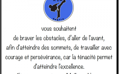 Nouvelle année 2020