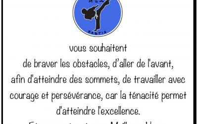 Nouvelle année 2018