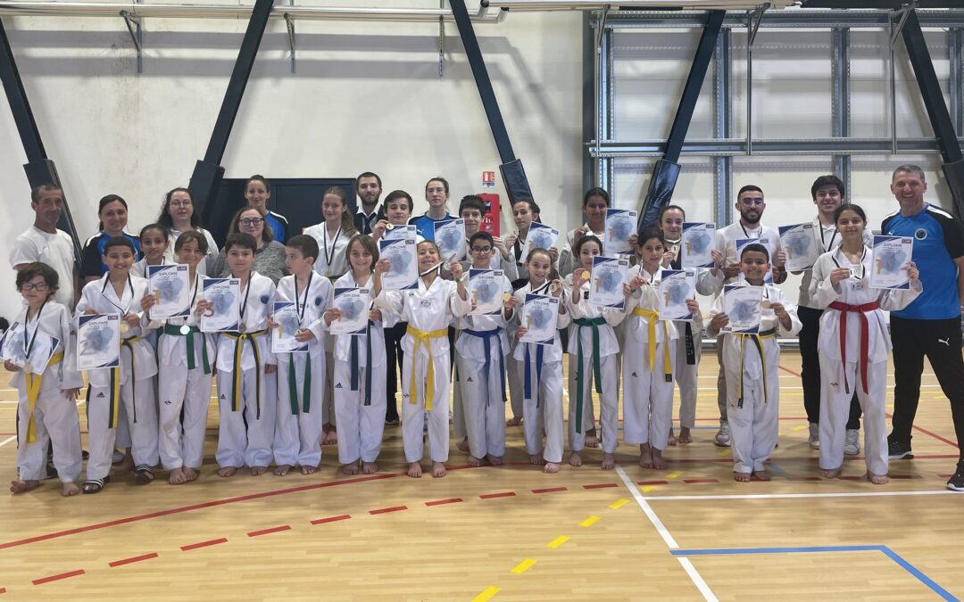 Coupe de Corse (28 avril 2024)